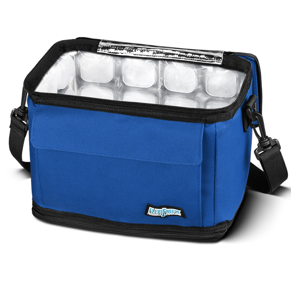 Medicine Cooler: How To Keep Your Medicine Cold - FlexiFreeze.com