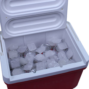 Open cooler of soda, filled with individual refreezable FlexiFreeze cooler cubes