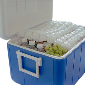 Open cooler with a frozen FlexiFreeze ice sheet on top of food and drinks